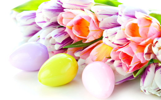 623963 (a): :2560x1600